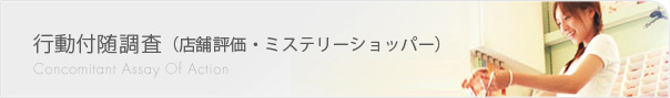 行動付随調査