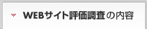 �T�C�g�]�������̓��e