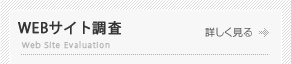 WEBサイト評価調査